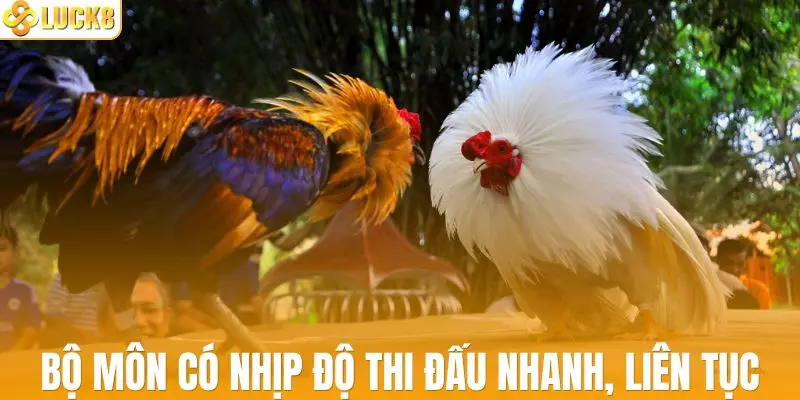 Bộ môn có nhịp độ thi đấu nhanh, diễn ra liên tục
