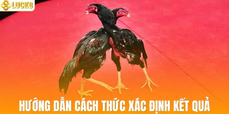 Các quy luật thi đấu cơ bản, cách thức xác định kết quả