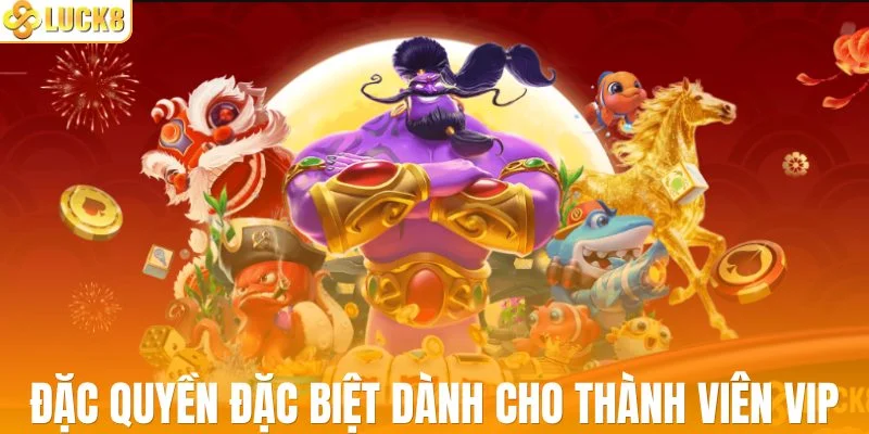 Đặc quyền đặc biệt dành cho thành viên VIP