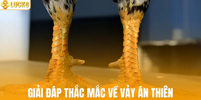 Giải đáp thắc mắc về vảy án thiên