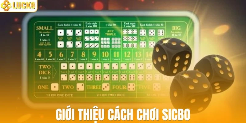 Giới thiệu tóm lược về cách chơi Sicbo