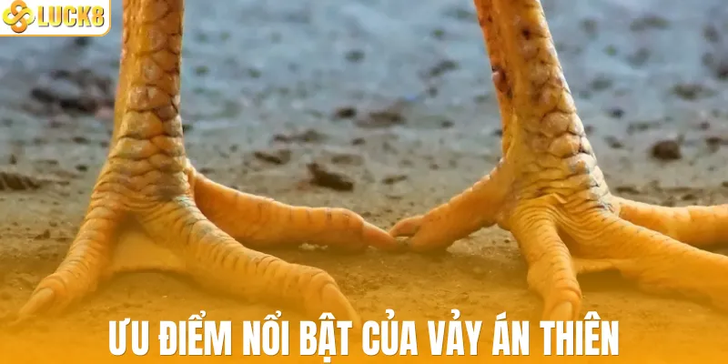 Ưu điểm nổi bật của vảy án thiên